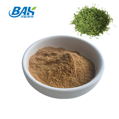 10:1 1kg Green Tea Extract Powder Series Water Soluble Instant Tea Powder