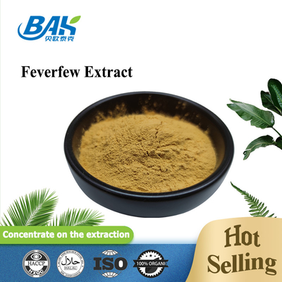 Feverfew Extract Parthenolide Nutrient Supplement Powder 0.8% - 1.2%