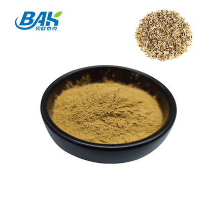 Feverfew Extract Parthenolide Nutrient Supplement Powder 0.8% - 1.2%