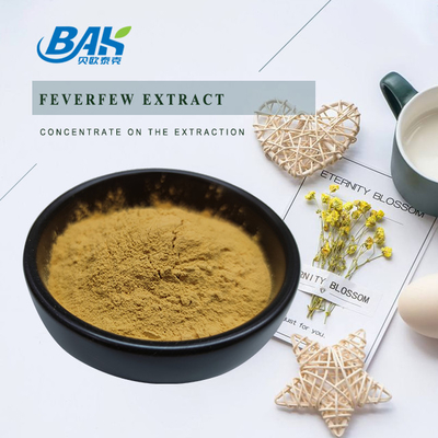 Feverfew Extract Parthenolide Nutrient Supplement Powder 0.8% - 1.2%
