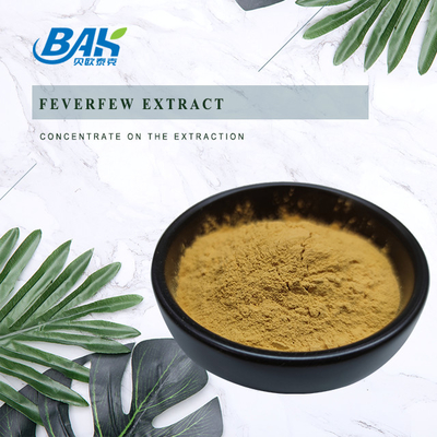 Feverfew Extract Parthenolide Nutrient Supplement Powder 0.8% - 1.2%