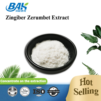 Plant Extract Powder Zingiber Zerumbet Extract Zerumbone 98% HPLC