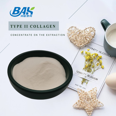 25% Peptide Protein Powder Cartilage Extract Type II Collagen