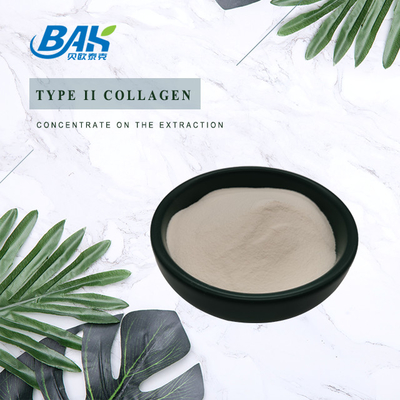 25% Peptide Protein Powder Cartilage Extract Type II Collagen