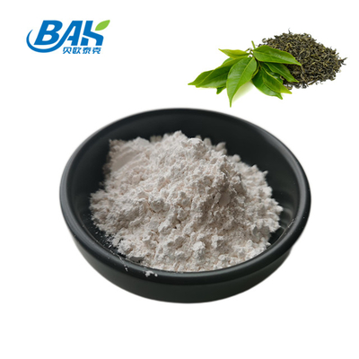 CAS NO 3081-61-6 Natural Herbal Extract For Healthy Diet Green Tea Extract Powder Theanine 98% Powder