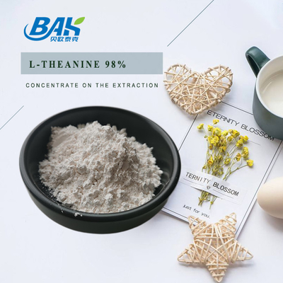 CAS NO 3081-61-6 Natural Herbal Extract For Healthy Diet Green Tea Extract Powder Theanine 98% Powder