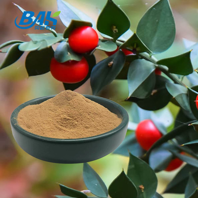 Plant Extract Powder Ruscogenin10% Butcher Broom Extract