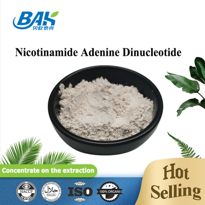 CAS 53-84-9 Reduced Nicotinamide Adenine Dinucleotide NAD High Purity