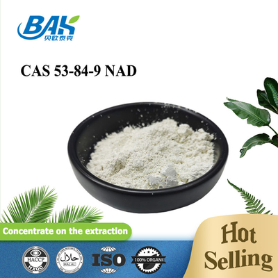 Hot Sale CAS 53-84-9 Reduced Nicotinamide Adenine Dinucleotide NAD