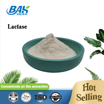 BAK Natural Food Additives Food Grade Lactase Powder 100000 ALU/G