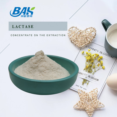 BAK Natural Food Additives Food Grade Lactase Powder 100000 ALU/G