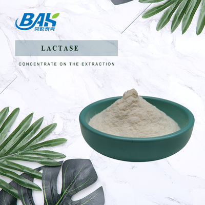 Food Grade Lactase Powder Natural Food Additives 100000 ALU/G