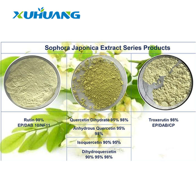 HPLC Sophora Japonica Extract 98% Quercetin Powder