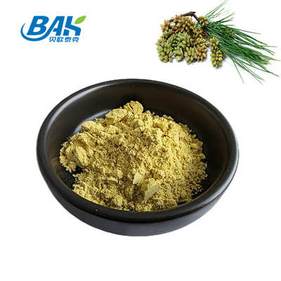 Plant Extract Cell Wall Broken Pine Pollen Powder Bulk 99%
