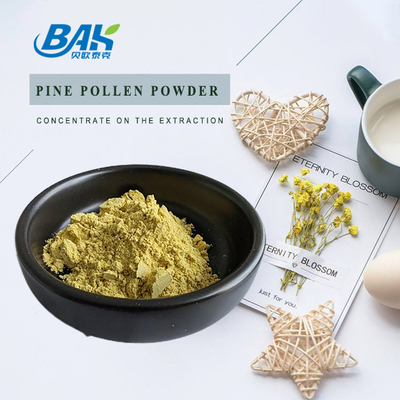 Plant Extract Cell Wall Broken Pine Pollen Powder Bulk 99%