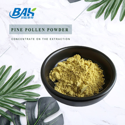 Plant Extract Cell Wall Broken Pine Pollen Powder Bulk 99%