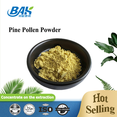 Plant Extract Cell Wall Broken Pine Pollen Powder Bulk 99%