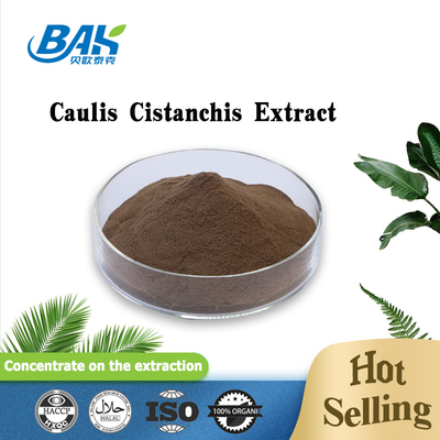 Food Grade Caulis Cistanchis Extract Plant Extract Powder