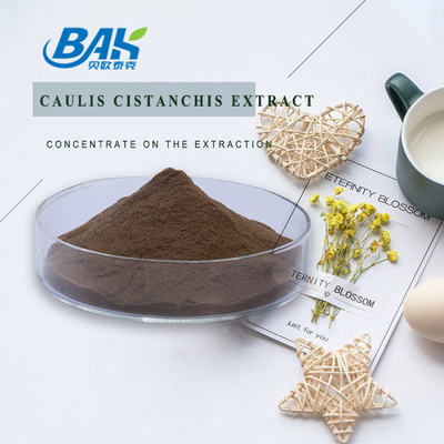 Food Grade Caulis Cistanchis Extract Plant Extract Powder
