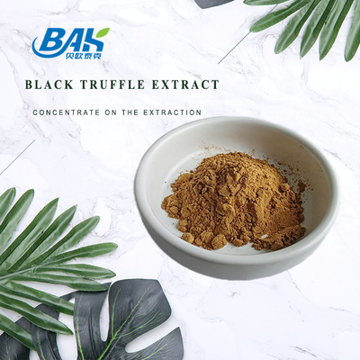 Food Grade Plant Extract Powder Black Truffle Extract Powder