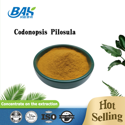 Plant Extract Powder Codonopsis Root Extract Powder codonopsis pilosula