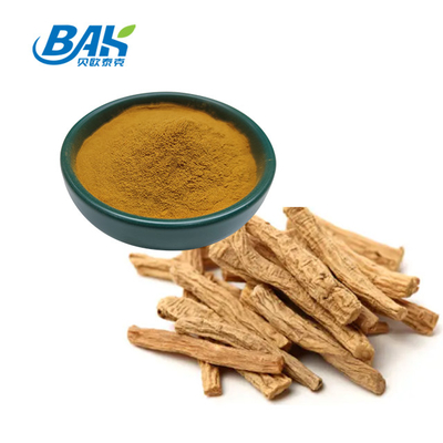 Plant Extract Powder Codonopsis Root Extract Powder codonopsis pilosula