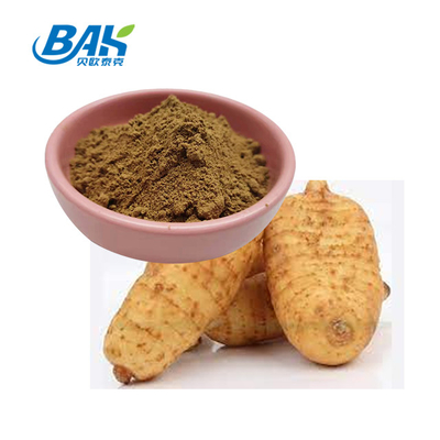 Plant Extract Powder Supplements Gastrodia Rhizoma Extract Powder