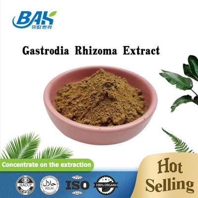 Plant Extract Powder Supplements Gastrodia Rhizoma Extract Powder