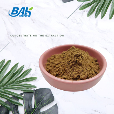 Plant Extract Powder Supplements Gastrodia Rhizoma Extract Powder