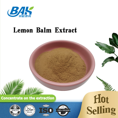 Plant Extract Powder Lemon Balm Extract