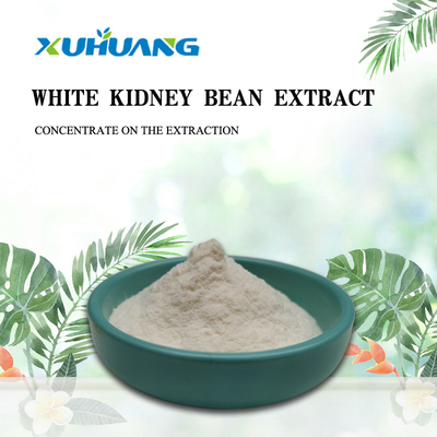 BAK Factory Supply Kidney Bean Extract Powder Off White White