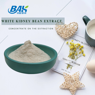 White Kidney Bean Extract Off White Powder 1% 2%