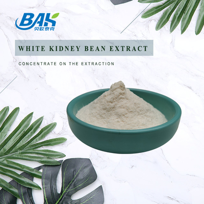 White Kidney Bean Extract Off White Powder 1% 2%