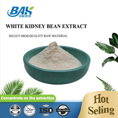 BAK Factory Supply Kidney Bean Extract Powder Off White White