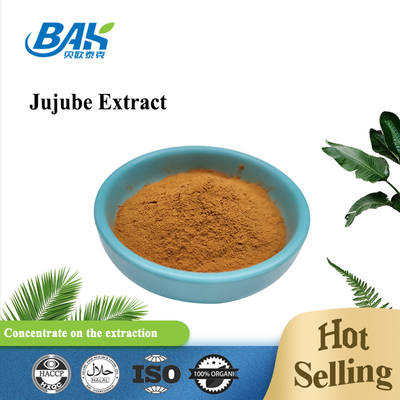 Polysaccharide Fructus Jujube Extract Brown Yellow Powder 40%
