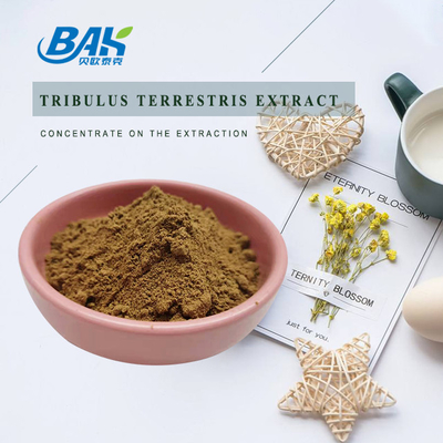 Tribulus Terrestris L Mens Health Supplement Brown Yellow Fine Powder 40%-98%