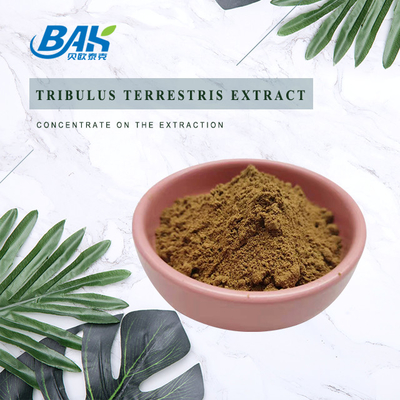 Tribulus Terrestris Extract Brown Yellow Powder