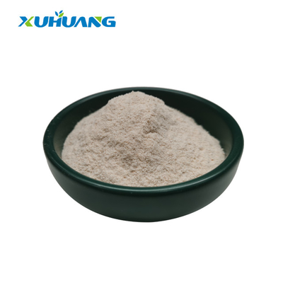 95% - 98% Psyllium Seed Husk Powder Bulk Dietary Fiber Psyllium Husk Powder