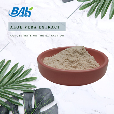 50% 60% Garcinia Cambogia Extract Off White Powder