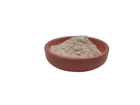 50% 60% Garcinia Cambogia Extract Off White Powder Cas 90045-23-1