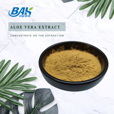 10% Weight Loss Supplement Powder Bitter Melon Extract Powder