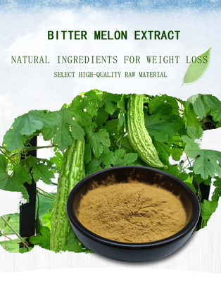 BAK Weight Loss Supplement Powder 10% Bitter Melon Extract ISO9001
