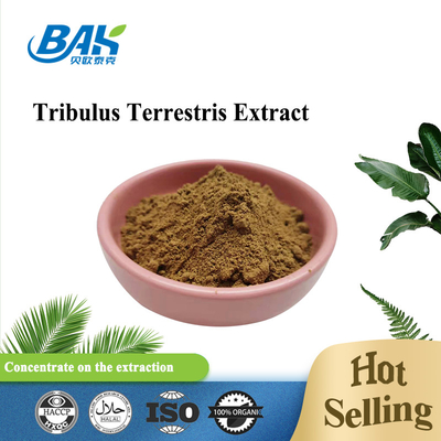Saponins Protodioscin Weight Loss Supplement Powder Tribulus Terrestris Extract