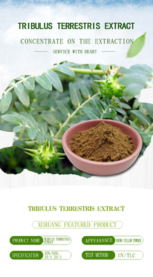 98% 95% 90% Tribulus Terrestris L Mens Health Supplement  Extract Halal ISO