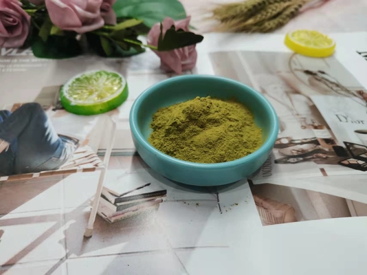 Herb Extract Nutrient Supplement Powder Echinacea Extract Powder 1% - 4%