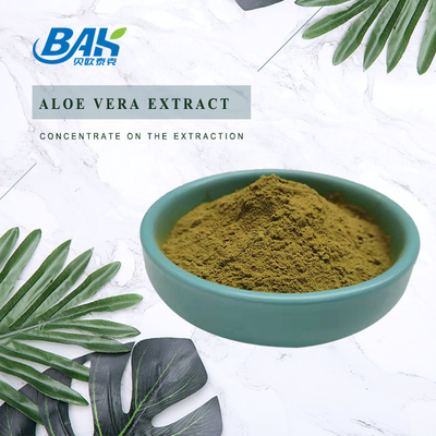 Herb Extract Nutrient Supplement Powder Echinacea Extract Powder 1% - 4%