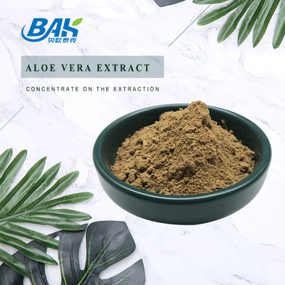 BAK High Quality Pass 80 Mesh Artemisia Argyi Leaf Extract Dark Brown Powder Anti Cruor
