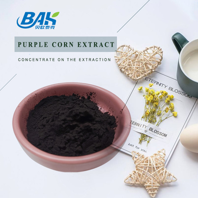 1% - 25% Anthocyanin Extract Supplement Purple Corn Extract Antioxidation