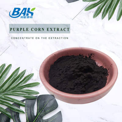 1% - 25% Anthocyanin Extract Supplement Purple Corn Extract Antioxidation