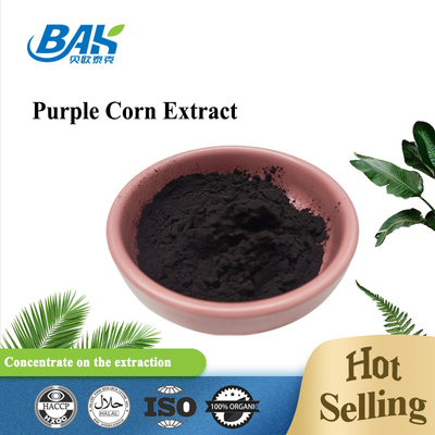 1% - 25% Anthocyanin Extract Supplement Purple Corn Extract Antioxidation